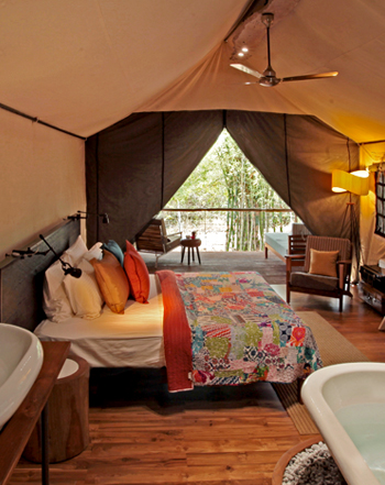 Luxury accommodation in Kabini